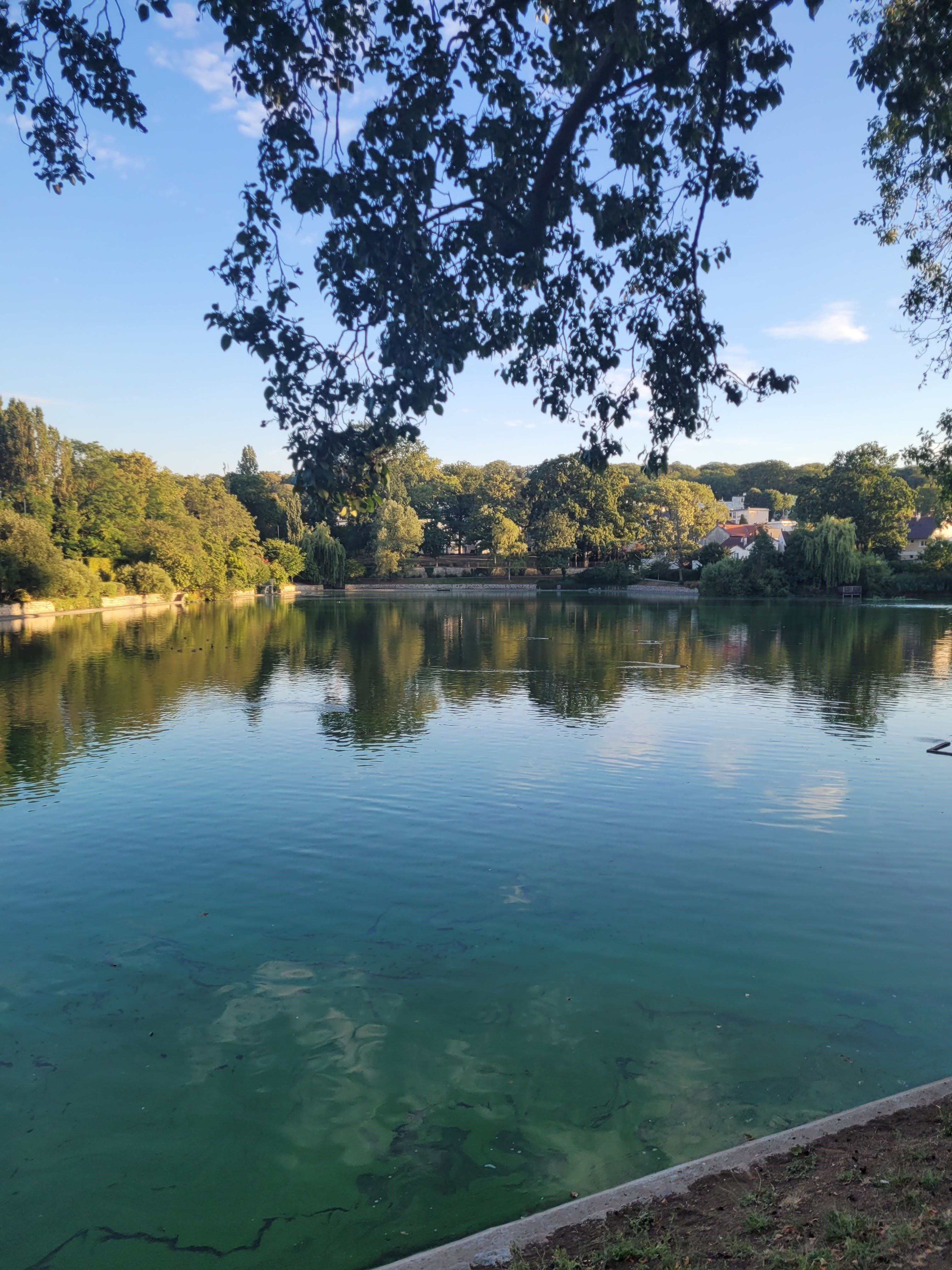 Photo n° 1 de l'avis de Nadjib.A fait le 28/07/2022 à 23:52