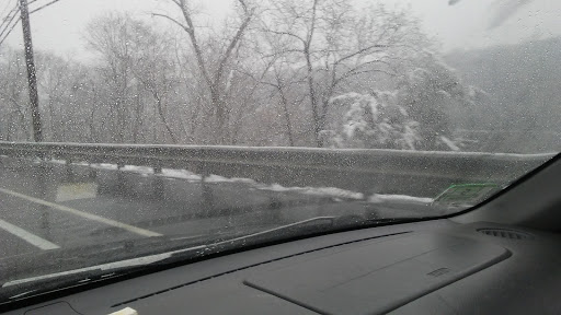 Tourist Attraction «Dinosaur Footprints», reviews and photos, US-5, Holyoke, MA 01040, USA