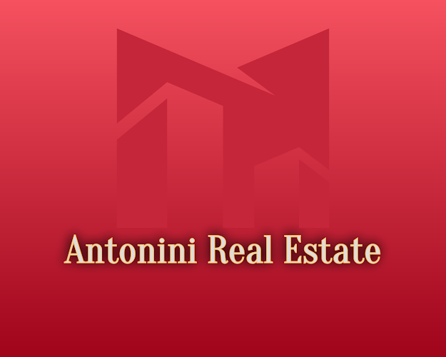 Antonini Real Estate Open Times