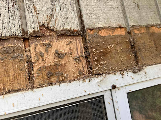 Good Life Inspections - North American Home Services image