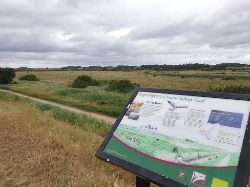 Brightlingsea Marsh National Nature Reserve