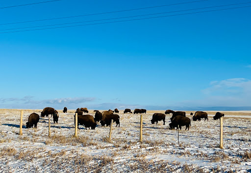 Employment Agency «AB Staffing Solutions», reviews and photos, 3451 Mercy Rd, Gilbert, AZ 85297, USA