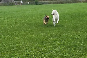 Kaukauna Dog Park image