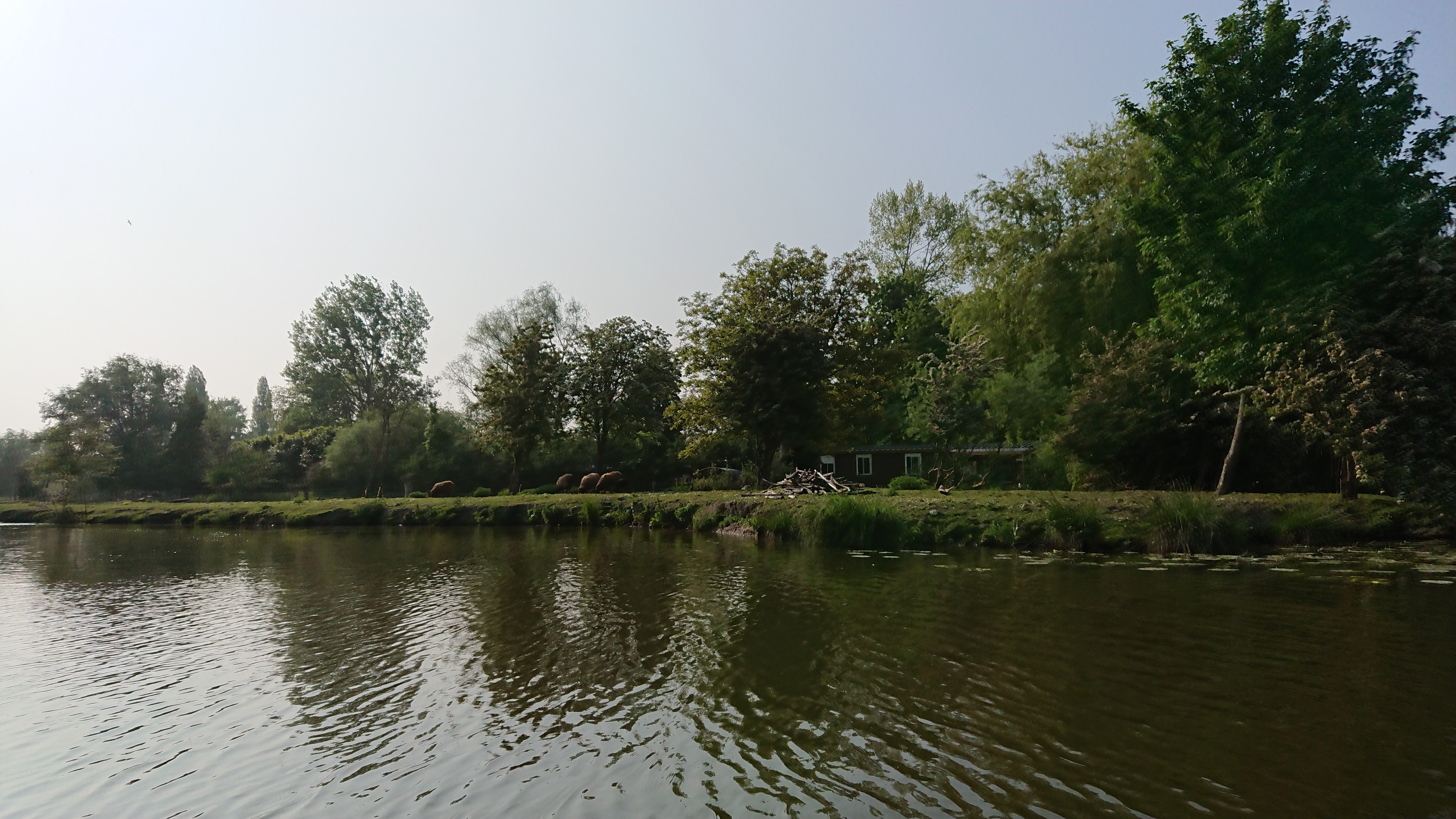 Photo n° 2 de l'avis de Perso.e fait le 20/05/2018 à 16:43