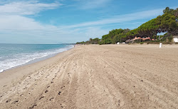 Photo de Platja dels Pilans avec rivage droit, long