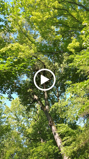 Park «The Loch», reviews and photos, Central Park West, New York, NY 10026, USA