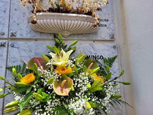 Las Libélulas Flower Shop en La Orotava, Santa Cruz de Tenerife