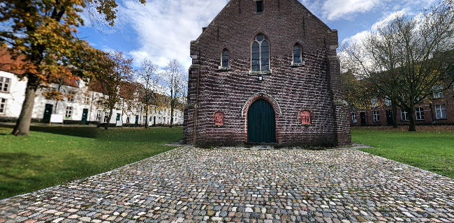 Alexiuskerk in begijnhof Dendermonde - Kerk