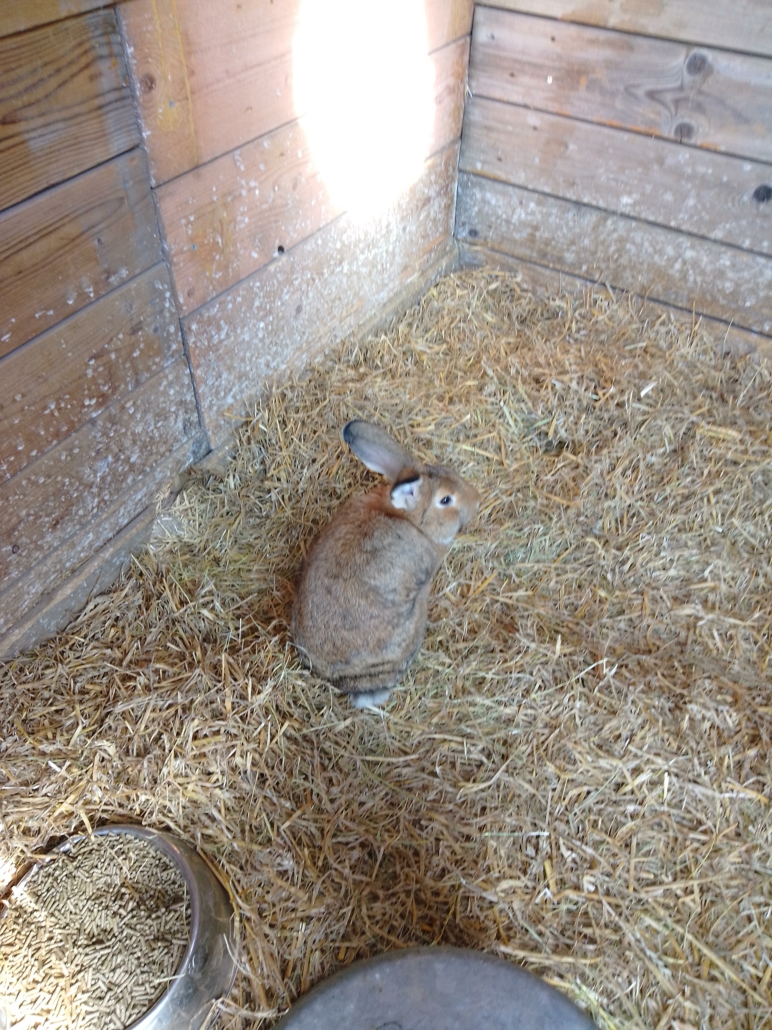 Photo n° 14 de l'avis de emmanuel.e fait le 04/09/2022 à 16:52