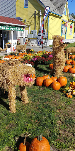 Wicker Store «Cape May Wicker», reviews and photos, 203 Sunset Blvd, West Cape May, NJ 08204, USA