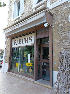 Fleurs Myosotls à Sénas