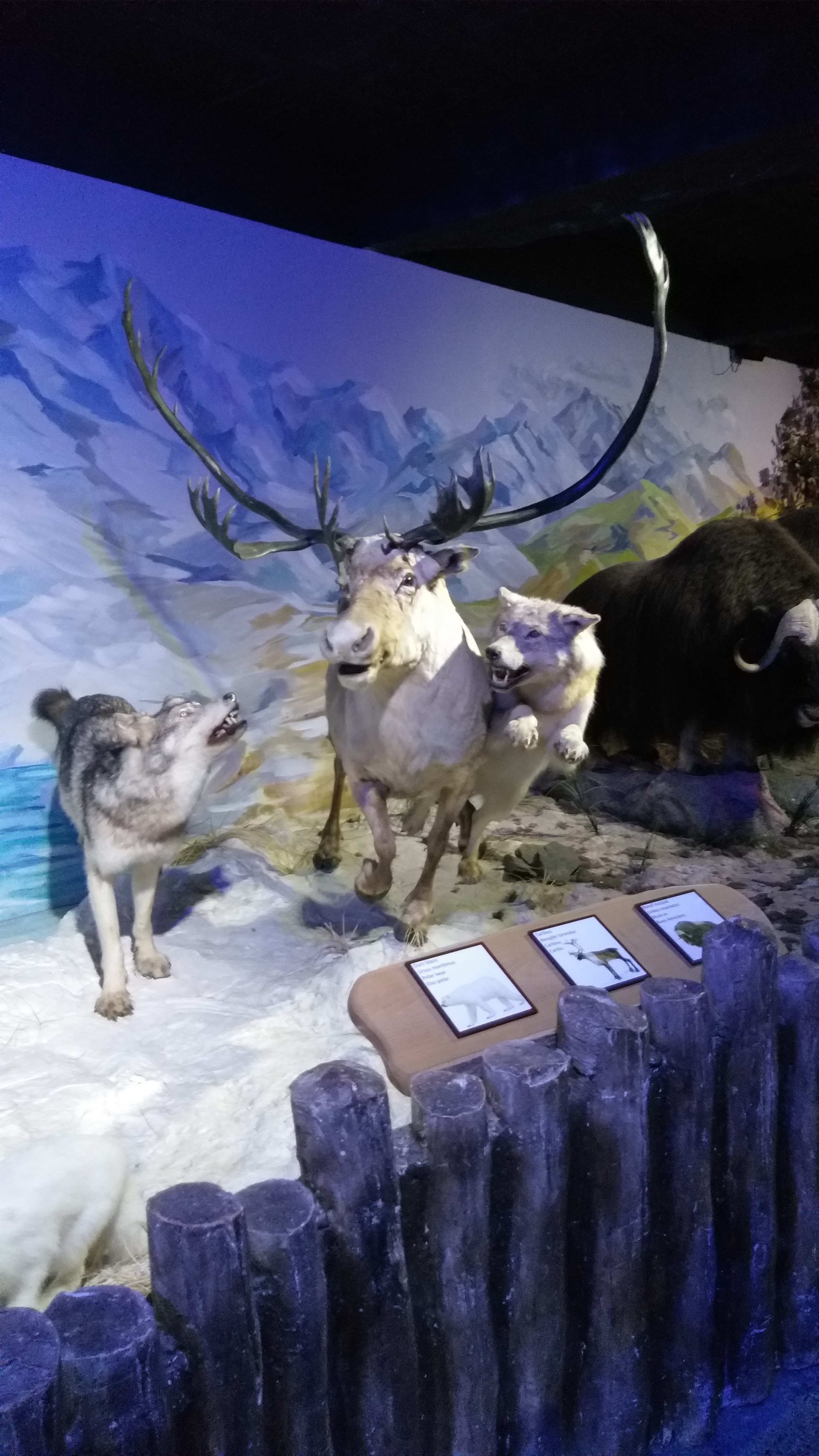 Photo n° 4 de l'avis de yannick.o fait le 30/07/2021 à 12:28