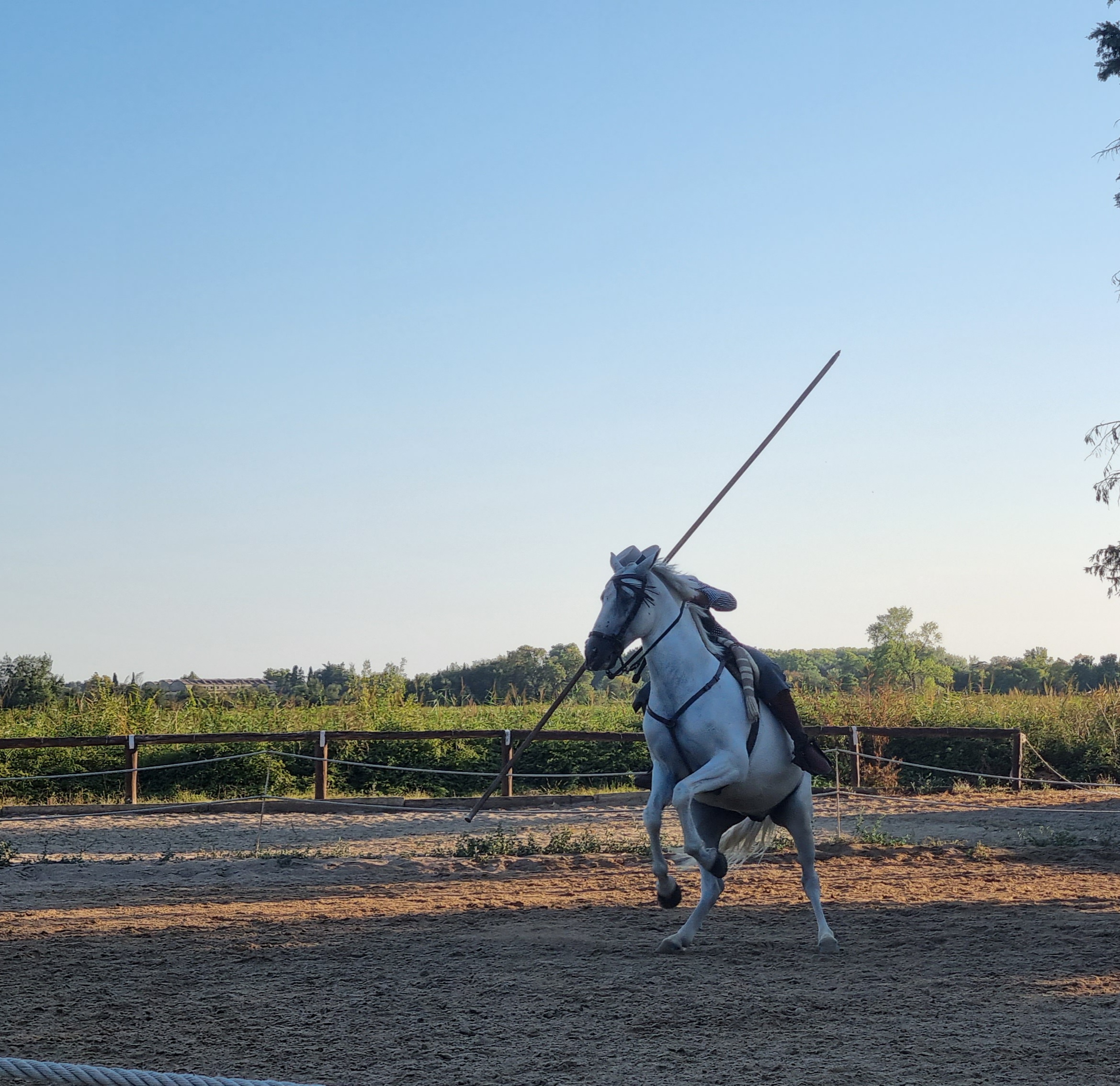 Photo n° 5 de l'avis de Jérôme.e fait le 15/08/2023 à 19:46