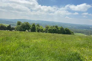 National Trust - Denbies Hillside image