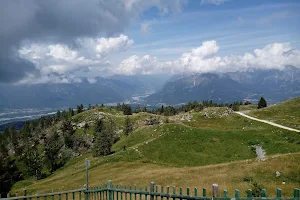 Giardino Botanico delle Alpi Orientali image