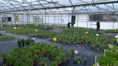 Chris Fleurs à Fontenilles