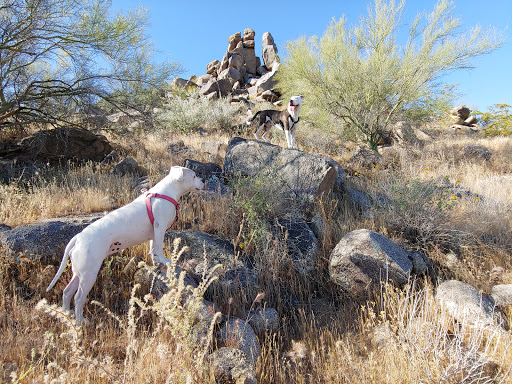 Park «Buffalo Ridge Park», reviews and photos, 19250 N 16th St, Phoenix, AZ 85024, USA