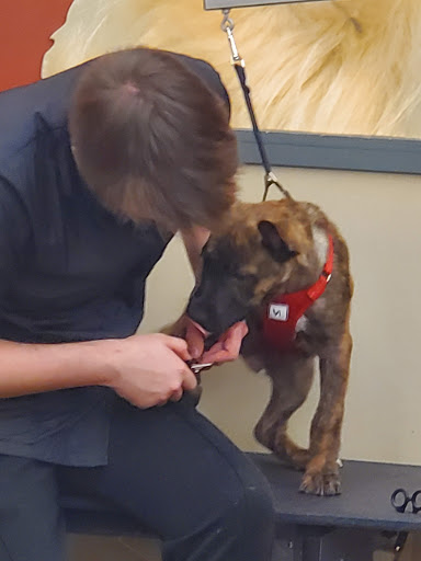 Pet Supply Store «Pet Supplies Plus», reviews and photos, 1213 Mentor Ave, Painesville, OH 44077, USA