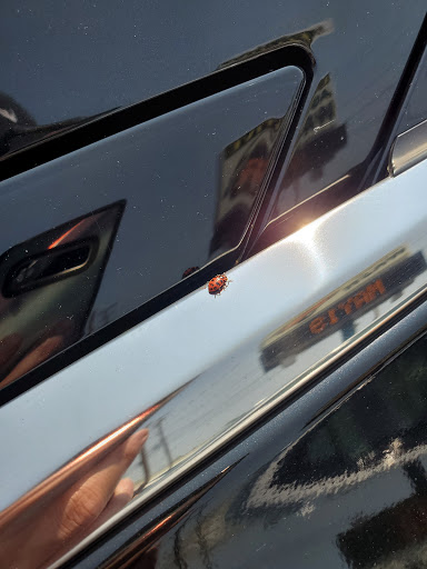 Car Detailing Service «Executive Auto Wash, Inc.», reviews and photos, 726 Winter St, Woonsocket, RI 02895, USA