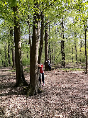 Sophrologue - Sylvothérapie Nord par Les Pt'its ts Écolos (Association) à Lallaing