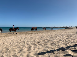 Kwinana Beach II'in fotoğrafı vahşi alan