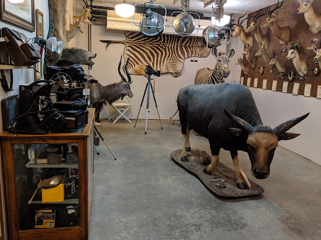 Museum of Wildlife, Science & Industry