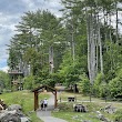 Adirondack Extreme Adventure Course