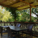 Photo n°1 de l'avis de Adriano.e fait le 08/08/2017 à 13:19 sur le  Osteria Enoteca San Guido à Bolgheri