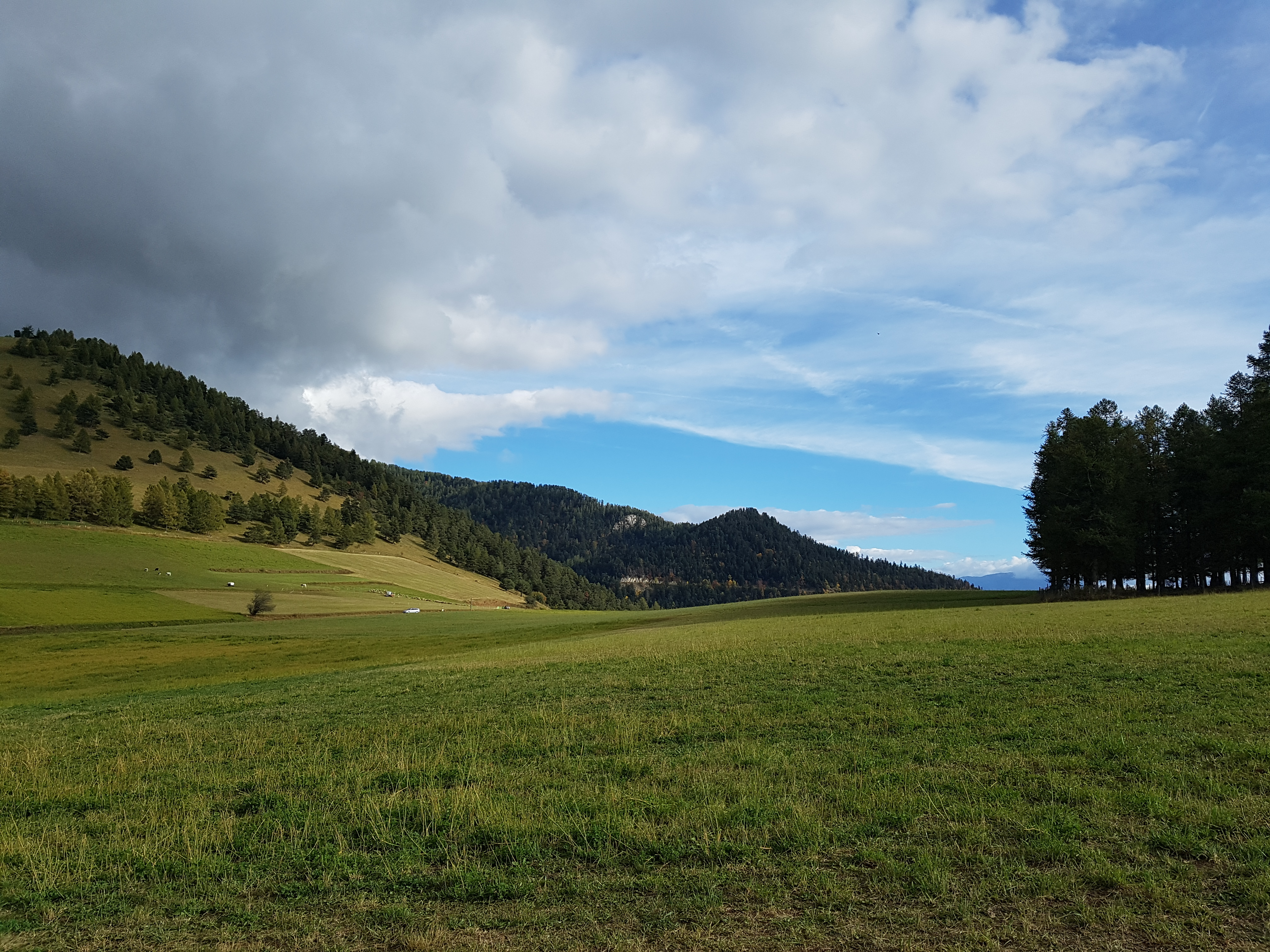 Photo n° 9 de l'avis de Siegfried.c fait le 14/10/2018 à 18:23