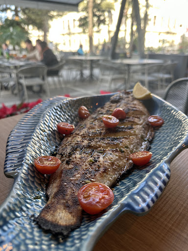 Luz y Brasa en Ceuta
