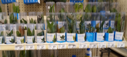 Pet Supply Store «PetSmart», reviews and photos, 4005 Airport Fwy, Irving, TX 75062, USA