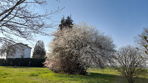 Arboretum à Saint-Nicolas-de-Port