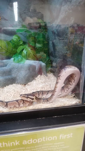 Pet Supply Store «Petco Animal Supplies», reviews and photos, 1605 Beltline Rd SW, Decatur, AL 35601, USA