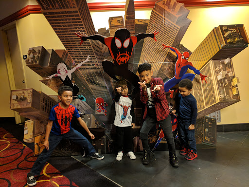 Movie Theater «AMC Marple 10», reviews and photos, 400 S State Rd, Springfield, PA 19064, USA