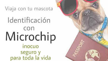 Microchip para mascotas