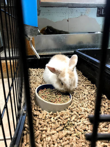Pet Store «Animal Ark Pet Stores», reviews and photos, 33 Center St, Orem, UT 84057, USA