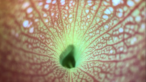 Gift Shop «Pondering Creations Farm», reviews and photos, 101 Allen St, Terryville, CT 06786, USA