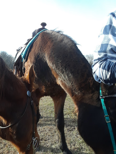 Winery «Monroeville Vineyard & Winery», reviews and photos, 314 Richwood Rd, Monroeville, NJ 08343, USA