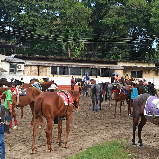 Hipódromo Presidente Remón