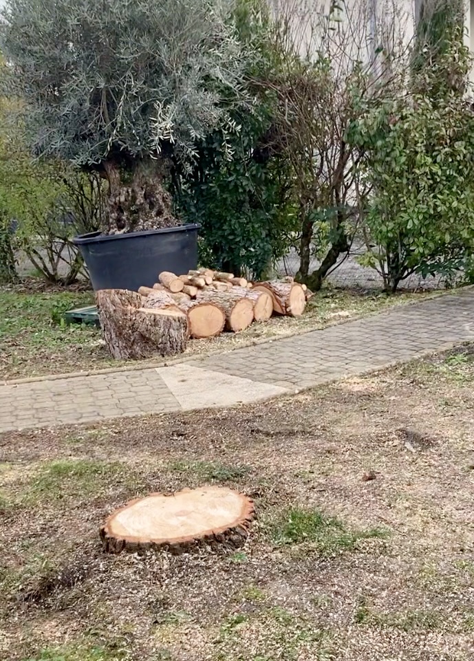 Photo n° 3 de l'avis de David.y fait le 11/02/2024 à 14:42
