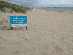Photo de Studland Naturist beach avec un niveau de propreté de très propre