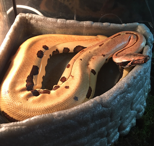 Pet Store «The Pet Works», reviews and photos, 407 4th Ave E, Olympia, WA 98501, USA