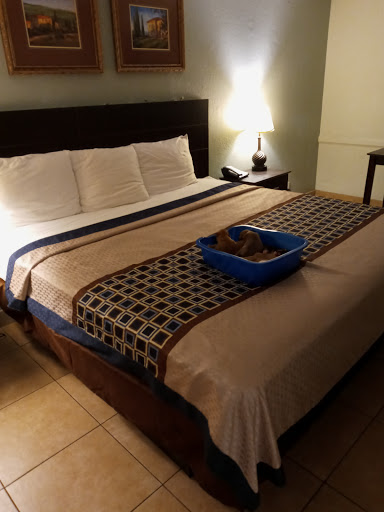 Hotel «Rodeway Inn Near Ybor City - Casino», reviews and photos, 2904 Melburne Blvd, Tampa, FL 33605, USA