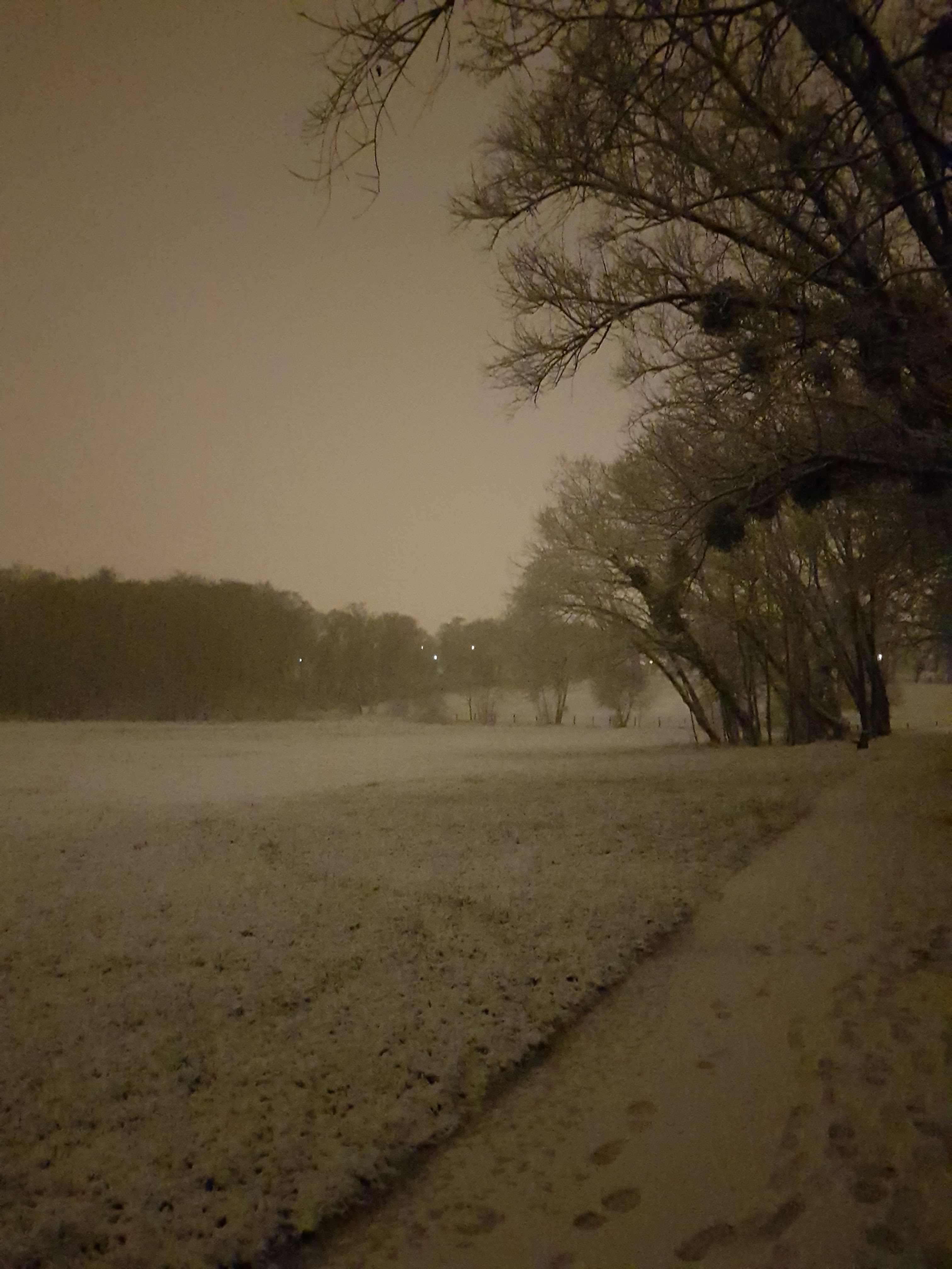 Photo n° 2 de l'avis de Benjamin.a fait le 08/02/2018 à 14:51
