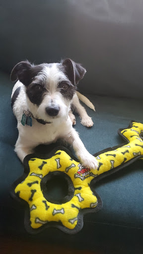 Pet Store «Healthy Pet», reviews and photos, 1775 Thousand Oaks Blvd, Thousand Oaks, CA 91362, USA