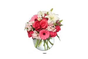 Sun City Center Flowers & Gifts, Inc. image