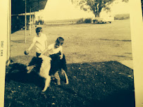 Go Dogs Go - Photo 2 - Car repair in Bellbrook, OH, Dayton