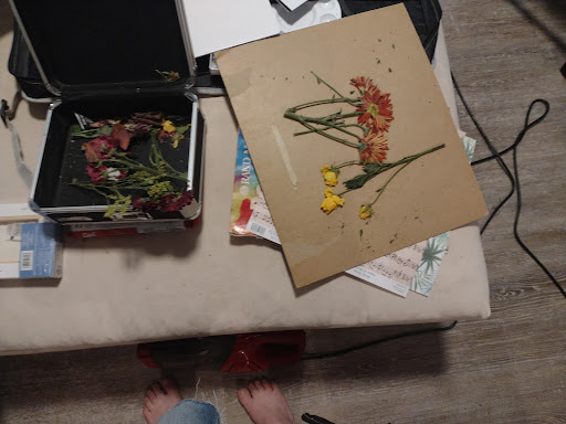 Craft Store «Michaels», reviews and photos, 5382 S Wadsworth Blvd, Littleton, CO 80123, USA