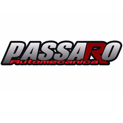 Automecanica Passaro - Taller de reparación de automóviles