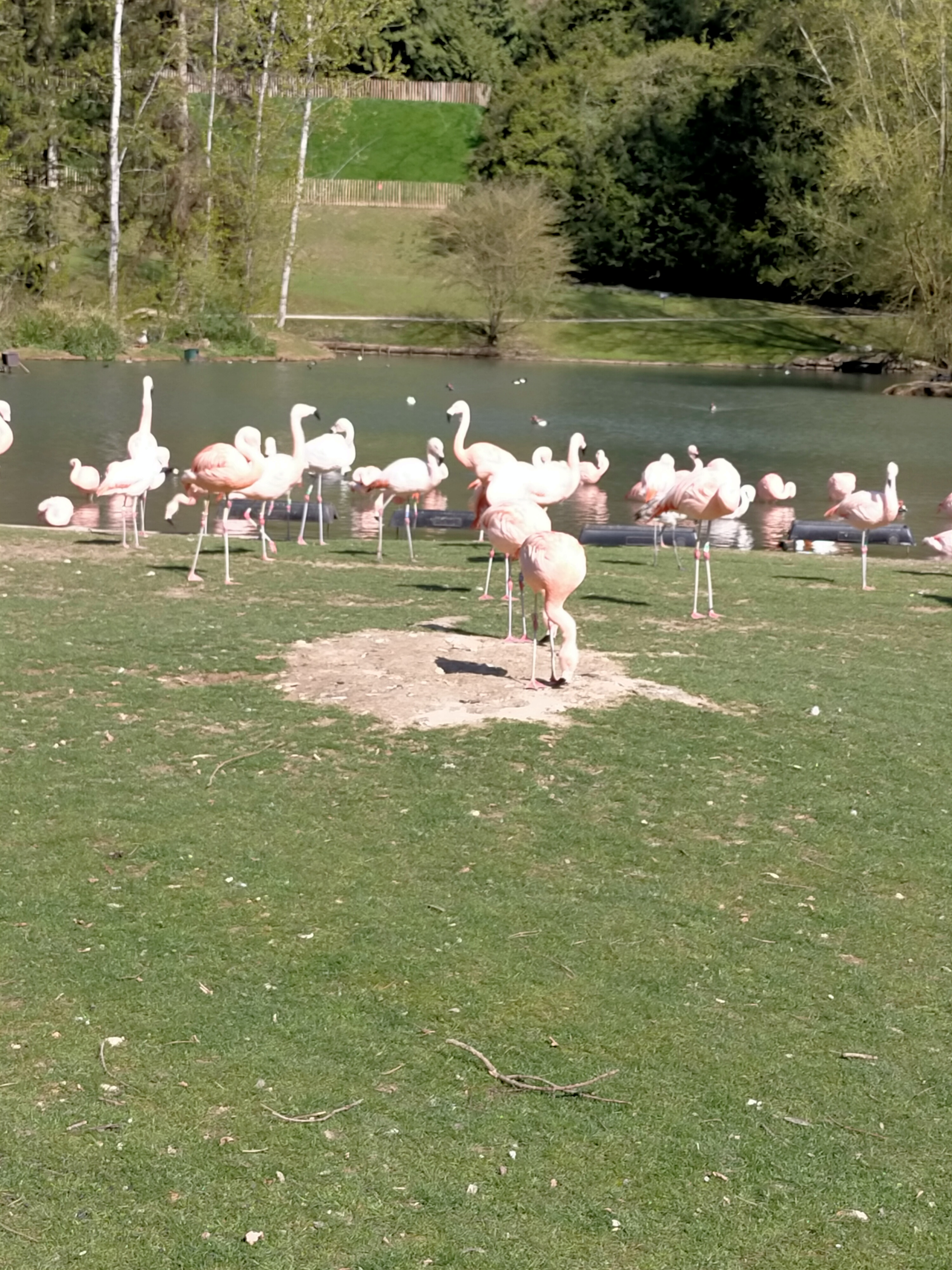 Photo n° 1 de l'avis de Emeline.A fait le 20/04/2023 à 13:35